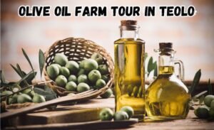 olive oil farm tour in teolo